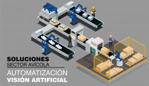 not2 300x174 - Automatizaci&oacute;n y visi&oacute;n artificial para el sector av&iacute;cola