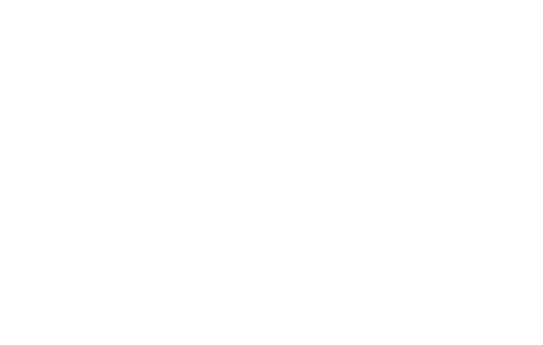 lineas lateral home - Webinar